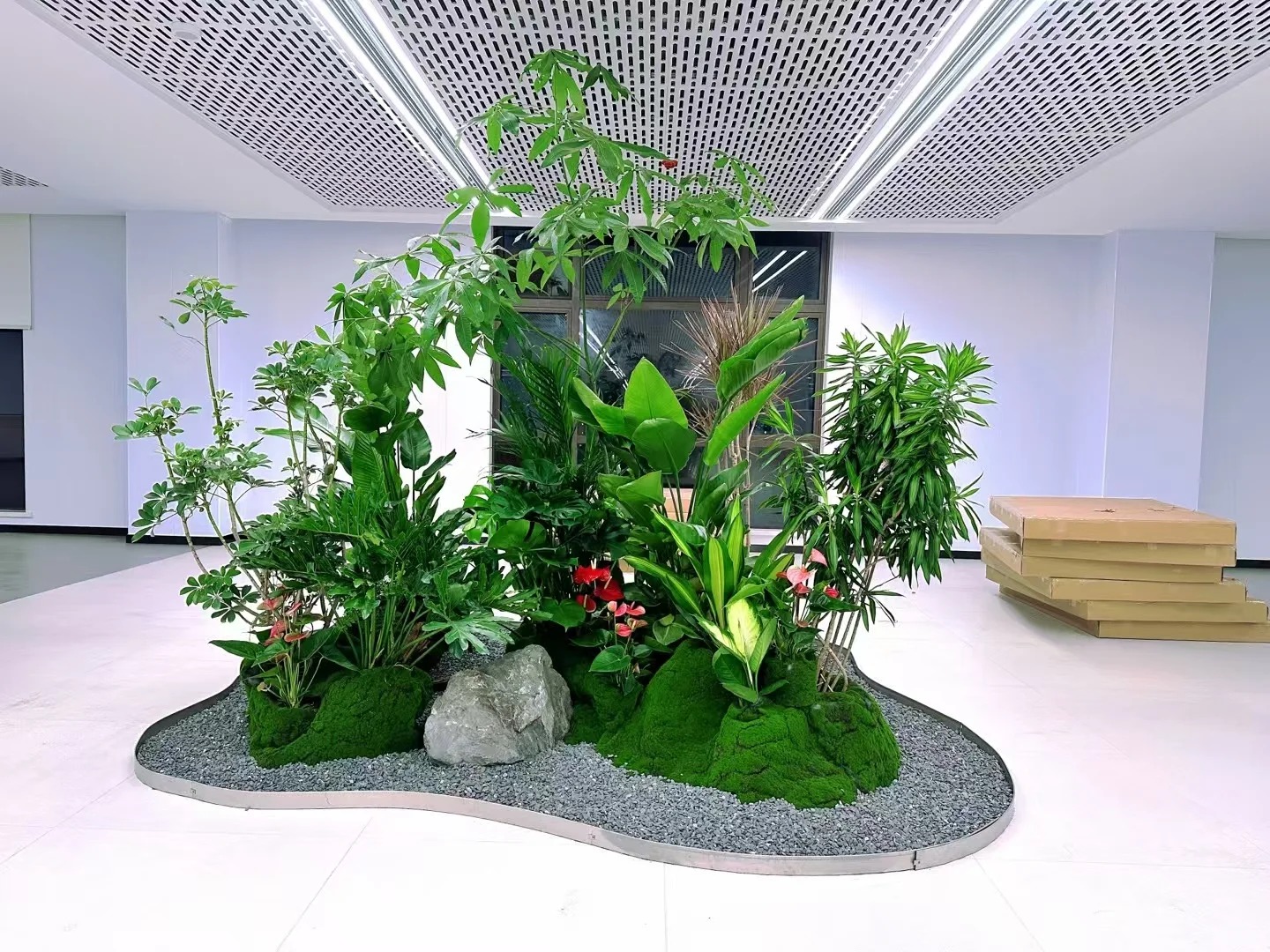 专业植物租赁，宁波余姚打造绿色家园必备