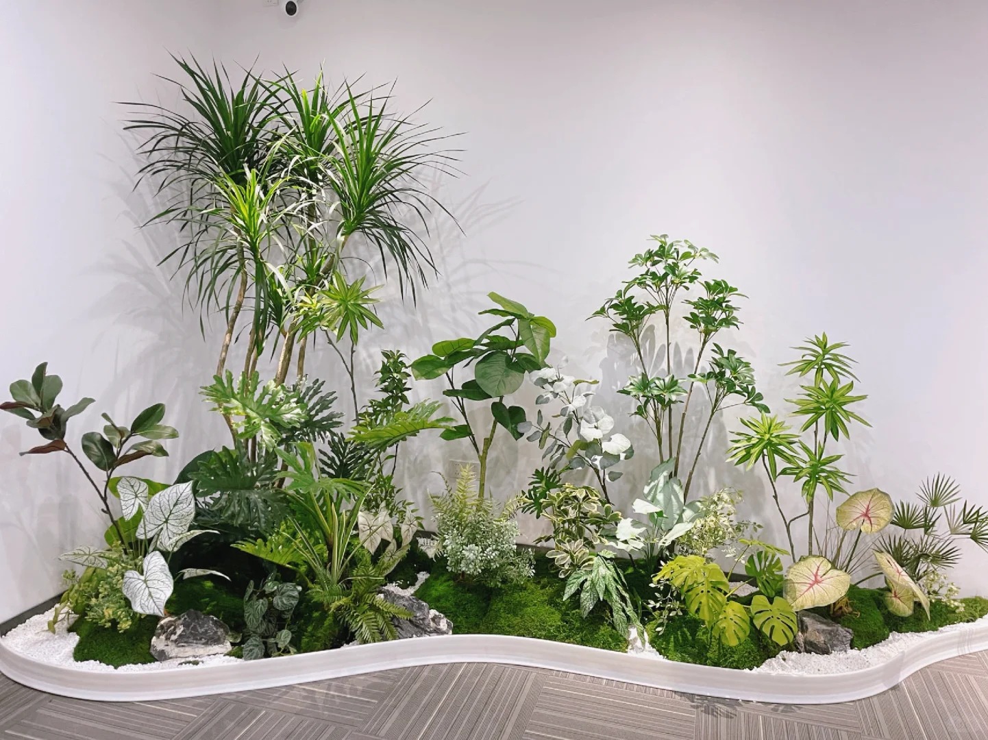 专业植物租赁，宁波余姚打造绿色家园必备